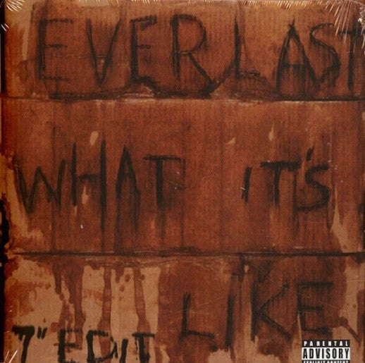 Everlast : What It's Like / Ends (7", Single)