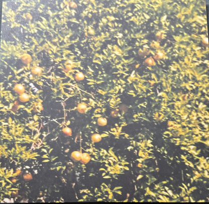 Drop Nineteens : Delaware (LP, Album, RE, Daf)