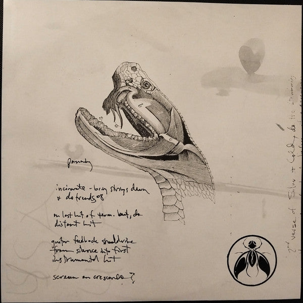 AFI : Sing The Sorrow  (2xLP, Album, RE)