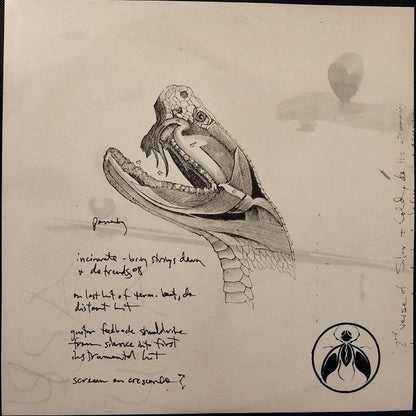 AFI : Sing The Sorrow  (2xLP, Album, RE)