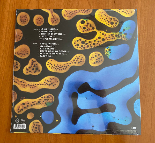 Guster : Evermotion (LP, Album, Can)