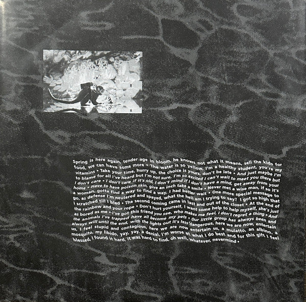 Nirvana : Nevermind (LP, Album, Ltd, RE, Met)