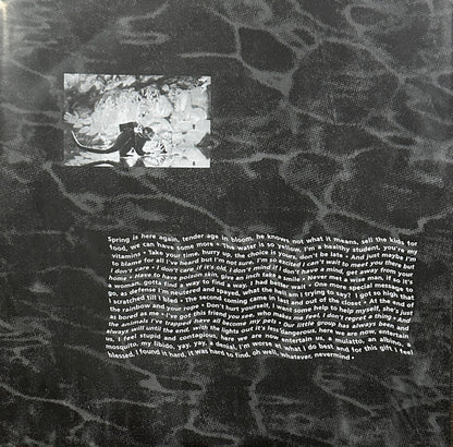 Nirvana : Nevermind (LP, Album, Ltd, RE, Met)