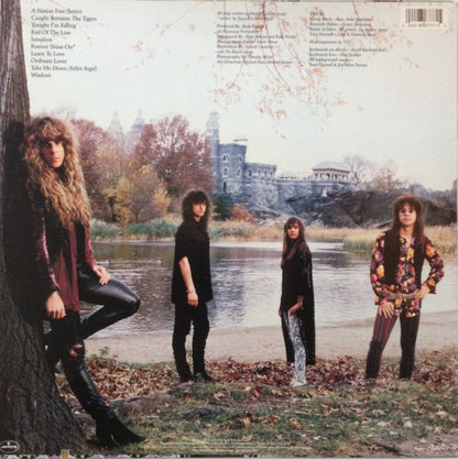 TNT (15) : Intuition (LP, Album)