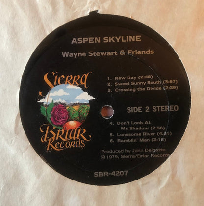Wayne Stewart And Friends* : Aspen Skyline (LP, Album, Gat)
