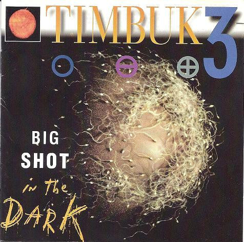 Timbuk 3 : Big Shot In The Dark (CD, Album)