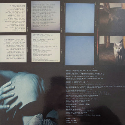 Goo Goo Dolls : A Boy Named Goo (30th Anniversary Deluxe Edition) (2xLP, Album, Dlx, RE, S/Edition)