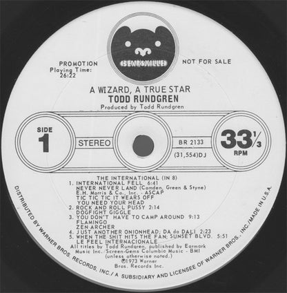 Todd Rundgren : A Wizard, A True Star (LP, Album, Promo, Die)