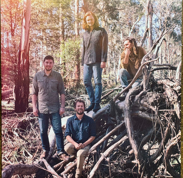 The Teskey Brothers : Half Mile Harvest (LP, Album, RE)