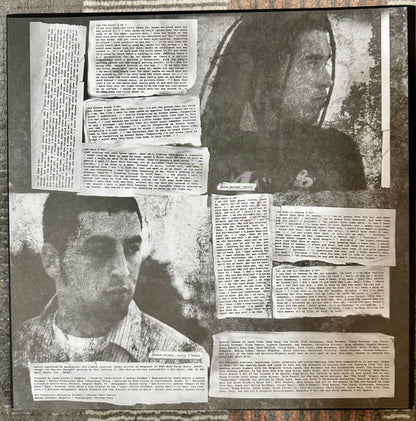 Nonpoint : Recoil (LP, Album, Ltd, Num, Gol)