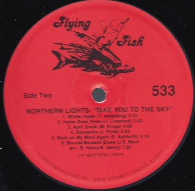 Northern Lights (19) : Take You To The Sky (LP, Album)