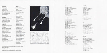 Ostraca : Disaster (CD, Album)