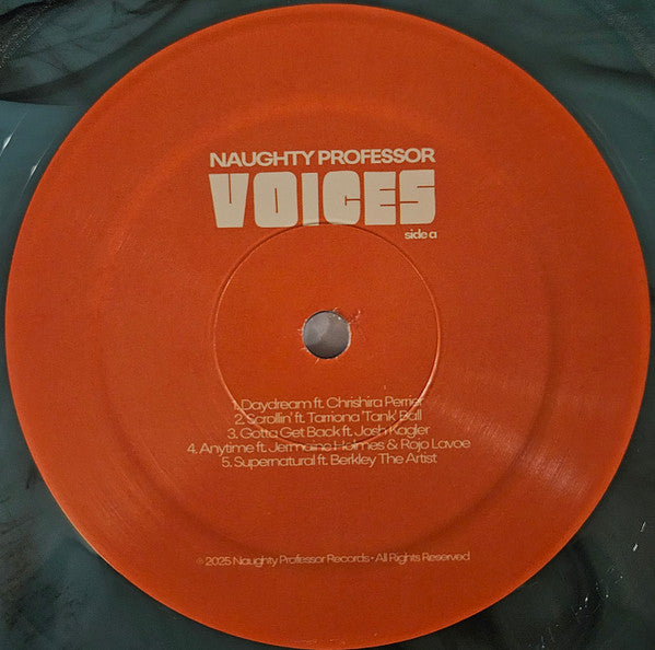 Naughty Professor : Voices (LP, Album, Sup)