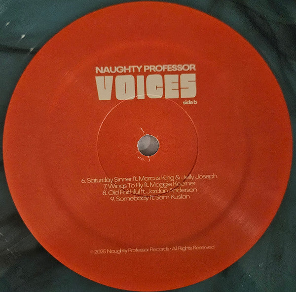 Naughty Professor : Voices (LP, Album, Sup)