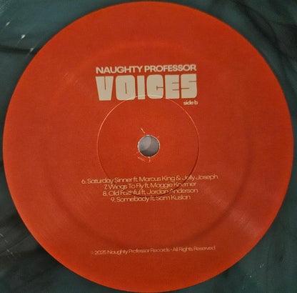 Naughty Professor : Voices (LP, Album, Sup)