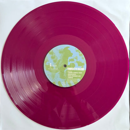 Third Eye Blind : Third Eye Blind (2xLP, Album, RE, Gra)