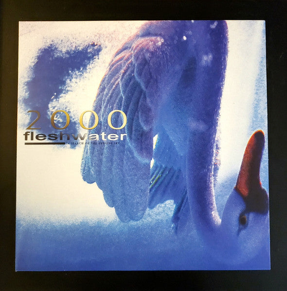 Fleshwater : 2000: In Search Of The Endless Sky (LP, Album, Met)