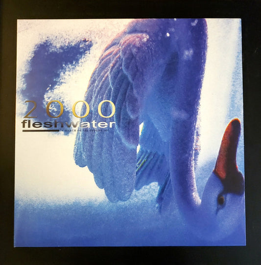 Fleshwater : 2000: In Search Of The Endless Sky (LP, Album, Met)