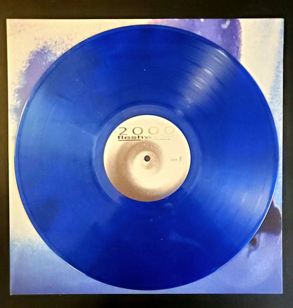 Fleshwater : 2000: In Search Of The Endless Sky (LP, Album, Met)