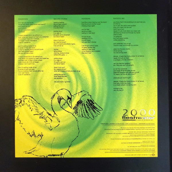 Fleshwater : 2000: In Search Of The Endless Sky (LP, Album, Met)