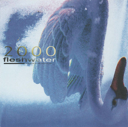 Fleshwater : 2000: In Search Of The Endless Sky (CD, Album)