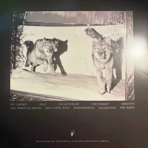 Agriculture : The Spiritual Sound (LP, Album, Ltd, Lem)
