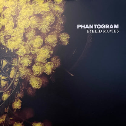 Phantogram : Eyelid Movies (LP, Album, RE, RP, Cle)