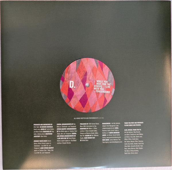 Grizzly Bear : Veckatimest (2xLP, RE, RP, Mag)