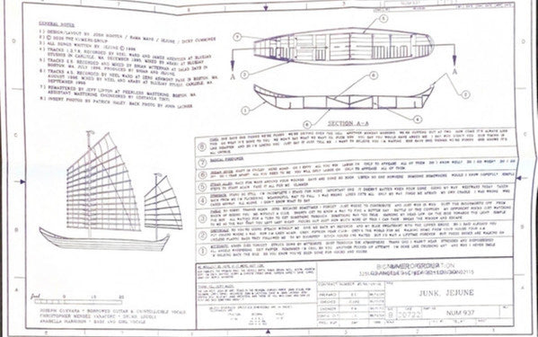 Jejune : Junk (LP, Album, RE, RM)