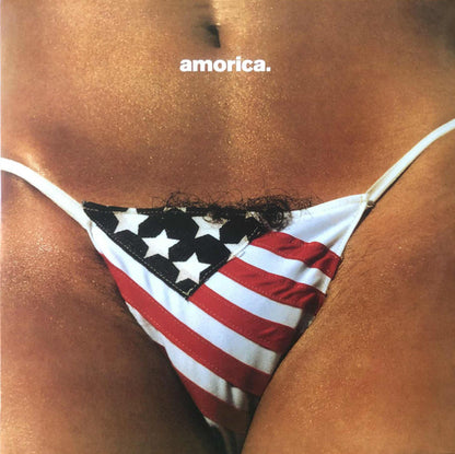 The Black Crowes : Amorica (2xLP, Album, RE, RM, 180)