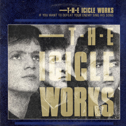 The Icicle Works : If You Want To Defeat Your Enemy Sing His Song (LP, Album, Ind)