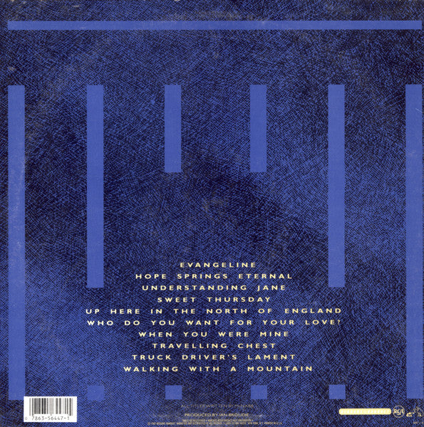 The Icicle Works : If You Want To Defeat Your Enemy Sing His Song (LP, Album, Ind)