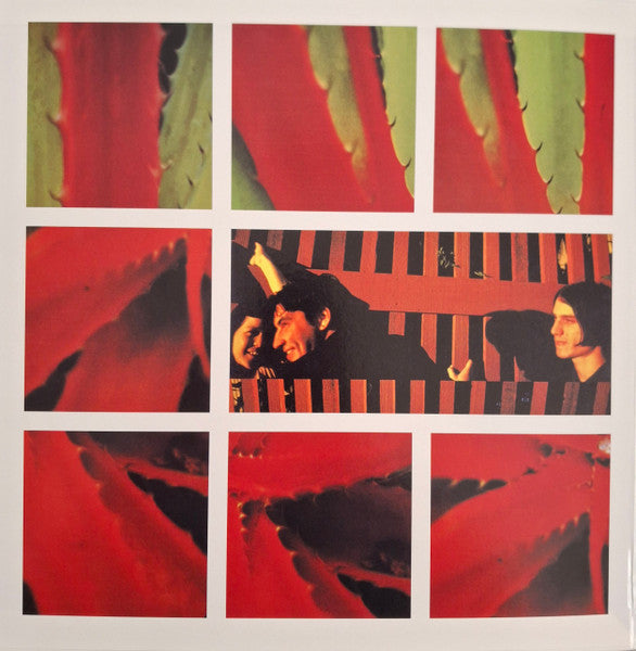 Jejune : This Afternoons Malady (2xLP, Album, RE, RM)