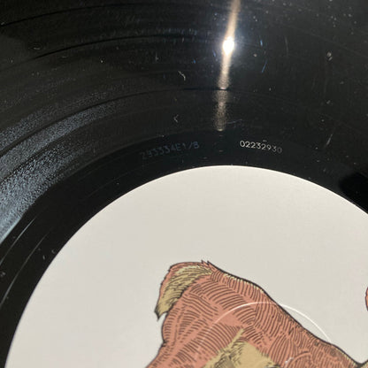 Michael Cera Palin : We Could Be Brave (LP, Album)