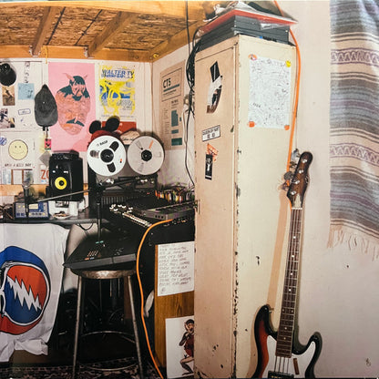 Mac DeMarco : Salad Days (LP, Album, RE, Gat)