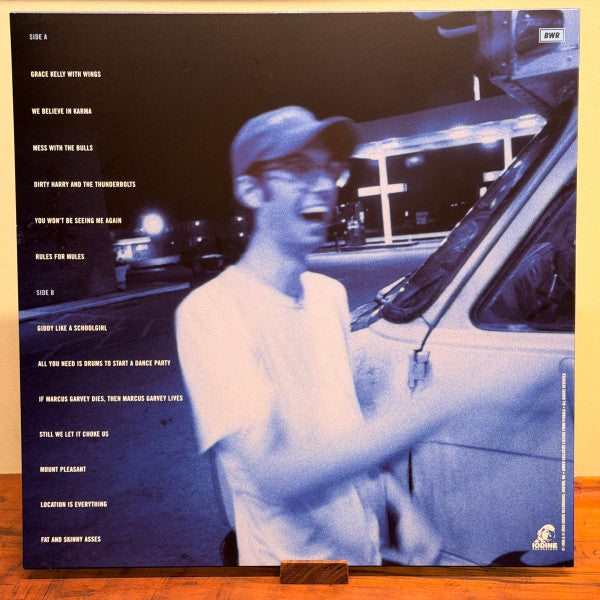 Piebald : If It Weren't For Venetian Blinds, It Would Be Curtains For Us All (LP, Album, RE, RM, Noi)
