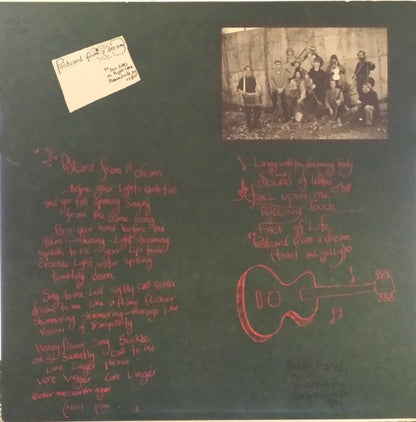 Poi Dog Pondering : Poi Dog Pondering (LP, Album)