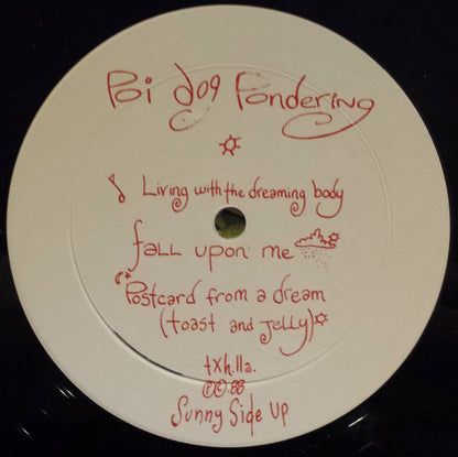 Poi Dog Pondering : Poi Dog Pondering (LP, Album)