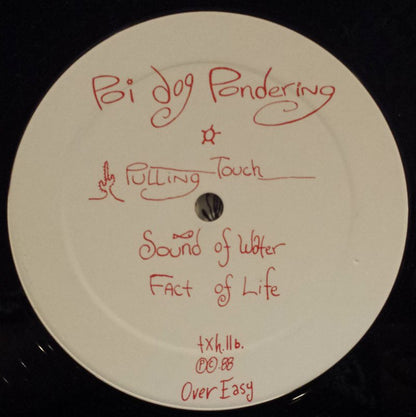 Poi Dog Pondering : Poi Dog Pondering (LP, Album)