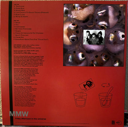 Medeski Martin and Wood* : Friday Afternoon In The Universe (LP, Album, Mag)