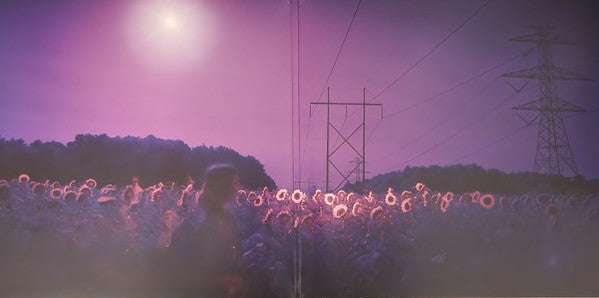 The Saddest Landscape : Alone With Heaven (2xLP, Album, Vio)