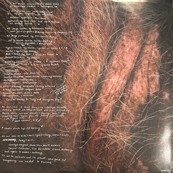 Mannequin Pussy : I Got Heaven (LP, Ltd, RE, Alt)