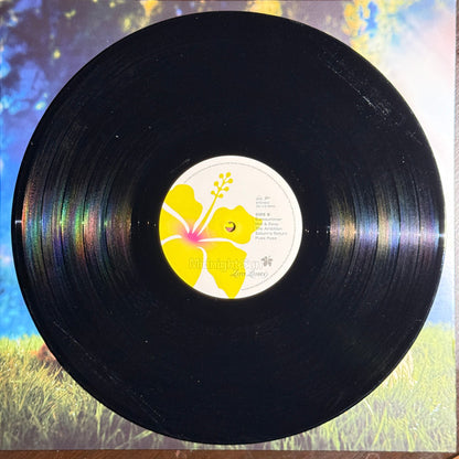 Zara Larsson : Midnight Sun (LP, Album, RE)