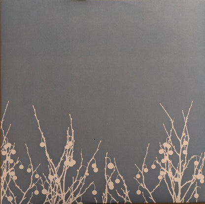 The Shins : Oh, Inverted World (LP, RE, 20t)