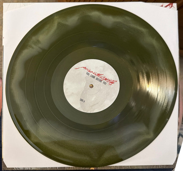 Poison The Well : You Come Before You (LP, Album, Gre)