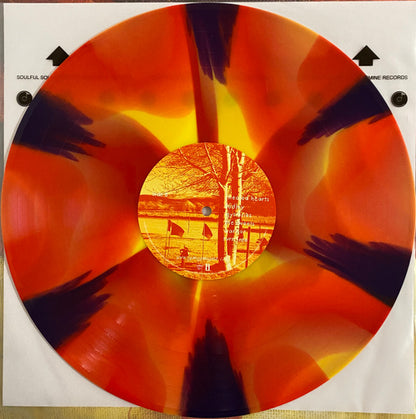 Yeah Yeah Yeahs : Show Your Bones (LP, Album, RE, Yel)