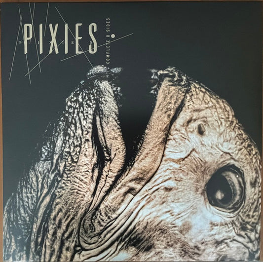 Pixies : Complete B Sides (2xLP, Comp, RE, RM, Cle)