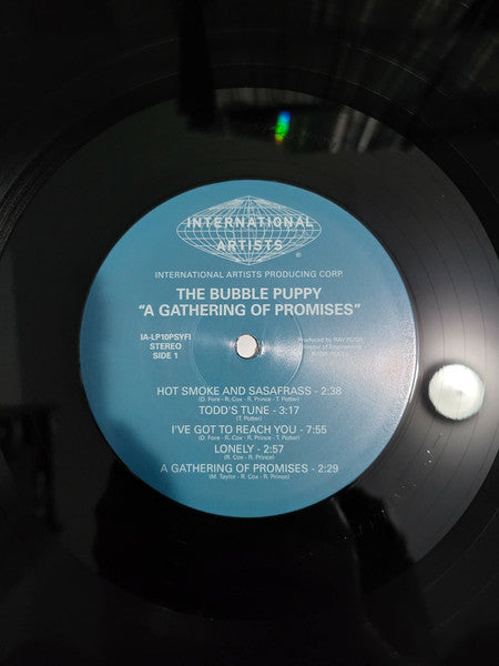Bubble Puppy : A Gathering Of Promises (LP, Album, Dlx, RE)