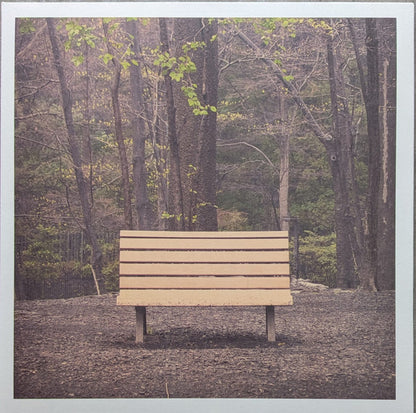 Streetlight Manifesto : The Hands That Thieve (LP, Ltd, RE, Red)