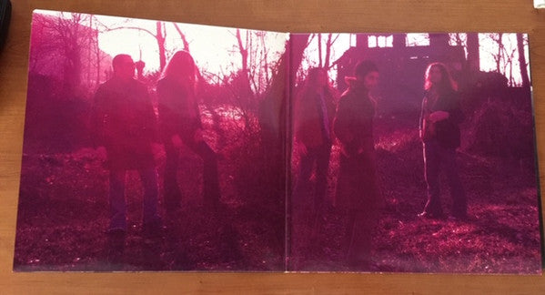 Wicked Minds : From The Purple Skies (2xLP, Album, Ltd, Pur)